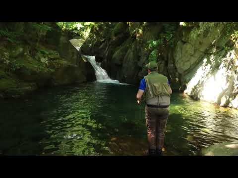Roccaforte Mondovì, Valle Ellero, Lurisia, Pesca