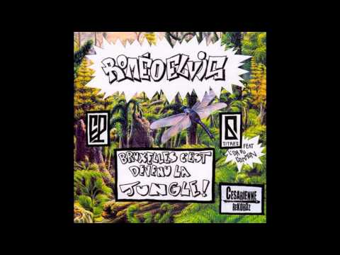 ROMEO ELVIS - Linkebrousse  (prod by Le Seize) INSTRUMENTAL
