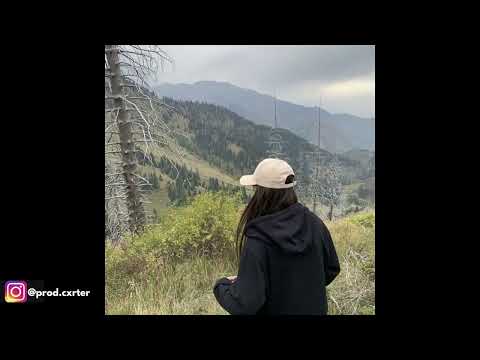 [FREE] glaive x midwest emo x hyperpop "cognitive" type beat (prod. cxrter x bended)