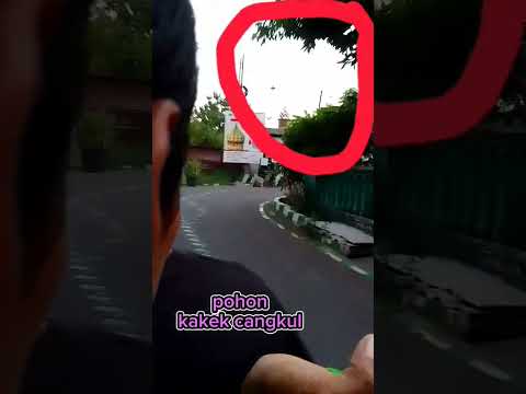 waspada kakek cangkul#short