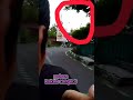 Waspada Kakek Cangkul Short