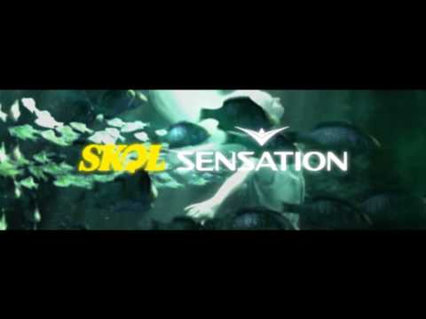 Vídeo oficial Skol Sensation 2010