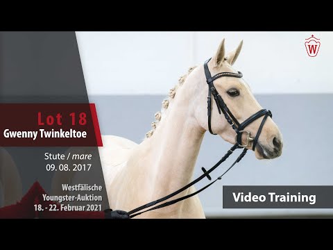 Youngster Auktion 18.-22.Februar 2021 Training Lot 18 Gwenny Twinkletoe  v. Golden Atreju-Good Guffi