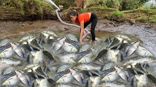 Professional Secrets to Catching More Fish Every Day on Rivers and Lakes