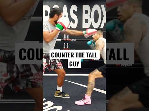 Counter the Taller Fighter #boxing #boxingshorts