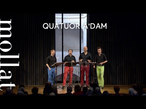 Quatuor A'dam
