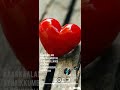 Katre En Vasal Full Screen Whatsapp Status