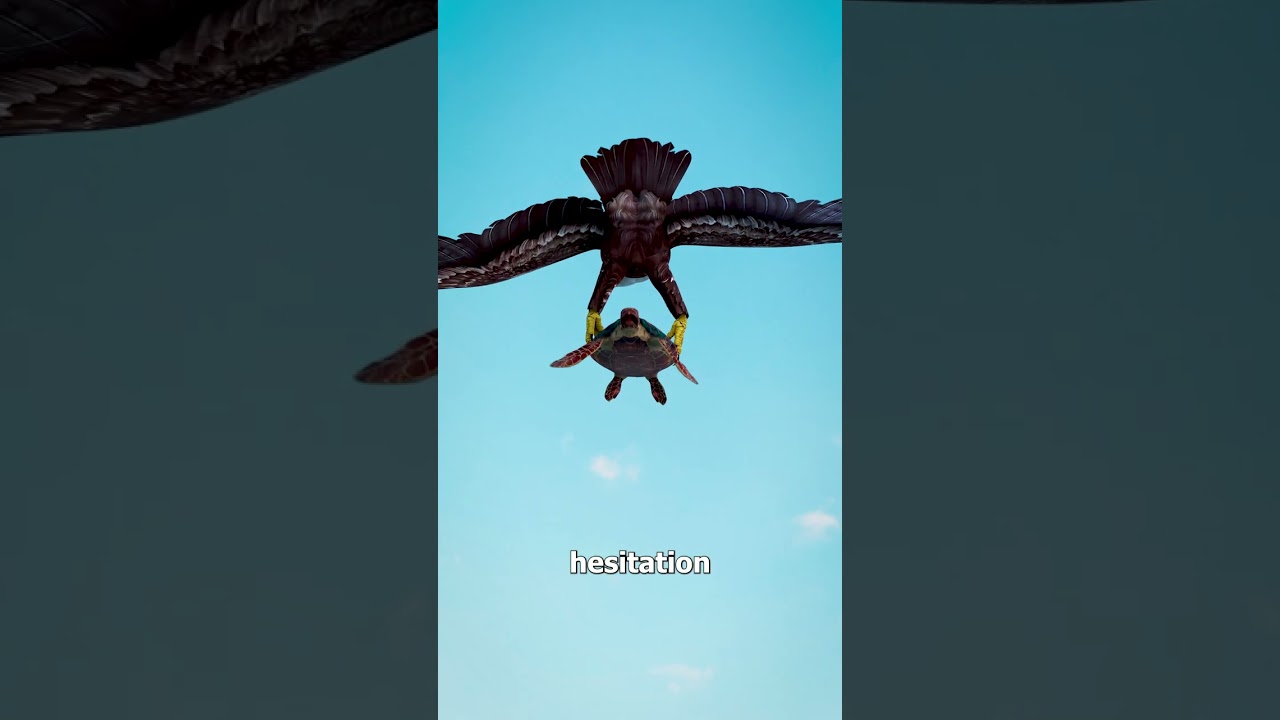 Mistaken For A Rock 😢