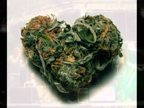 udg alto me haces llegar