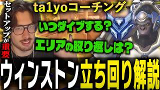 ダイブはセットアップが重要！ダイヤ帯ウィンストンのコーチングをするta1yo【 OverWatch  / ta1yo 切り抜き】
