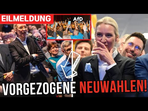 Deutschland am Scheideweg: Zerbricht die Demokratie? AfD, Neuwahlen & das Schweigen der Regierung
