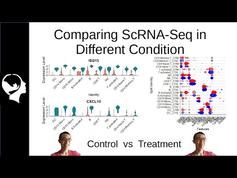 Comparing scRNA-Seq | Suerat Integration Analysis (Brief)