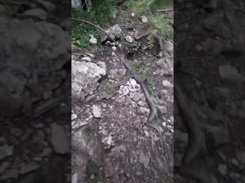 Padis - Cetāțile Ponorului - The Fortress of Ponor