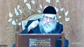 הרה"ג הרב וועכטר שליט"א ה' טבת תשפ"ו - ליקוטי שיחות חלק ט"ו פרשת וישב שיחה ד' חלק ד'  (הרב אברהם מנחם מענדל וכטר) - התמונה מוצגת ישירות מתוך אתר האינטרנט יוטיוב. זכויות היוצרים בתמונה שייכות ליוצרה. קישור קרדיט למקור התוכן נמצא בתוך דף הסרטון