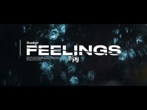 B'jay Feelings ( VISUALIZER )