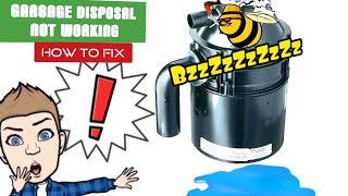 How to fix a jammed garbage disposal step by step The Plumber Explains