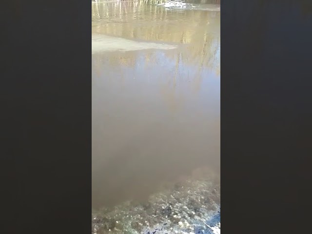 Половодье в селе Исергапово Бавлинского района (видео) 
