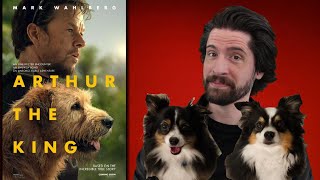 Arthur the King - Movie Review