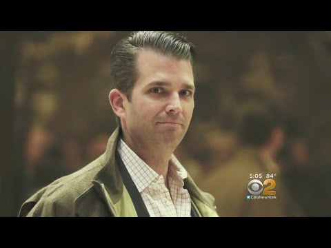 Donald Trump Jr. Under Fire For Meeting With Russian Attorney
