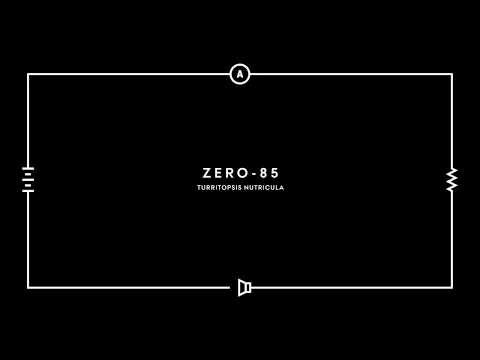 ZERO-85 - TURRITOPSIS NUTRICULA - FULL ALBUM [PART II]