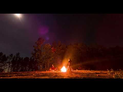 Diviners, IZECOLD & Tim Beeren - This Time