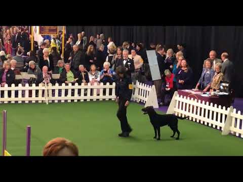 download lagu mp3 mp4 Connie Cleveland, download lagu Connie Cleveland gratis, unduh video klip Download Connie Cleveland Mp3 dan Mp4 Music Gratis