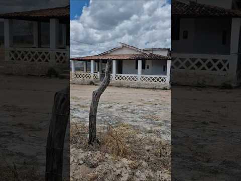 SECA NO SERTÃO DE PERNAMBUCO #pernambuco #nordeste #bomconselho #sertão
