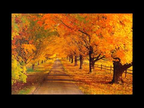 Abey Tom  Tere Bina J...