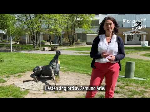 Upptäck länet – Häst som reser sig och Kärlek på sju språk