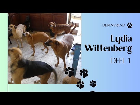 𝑫𝒊𝒆𝒓𝒆𝒏𝒗𝒓𝒊𝒆𝒏𝒅 𝑳𝒚𝒅𝒊𝒂 𝑾𝒊𝒕𝒕𝒆𝒏𝒃𝒆𝒓𝒈 𝑫𝒆𝒆𝒍 1