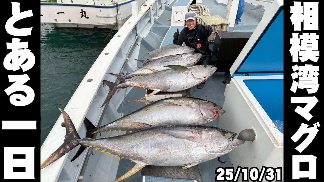 【相模湾マグロ2025】当たりが止まらないとある一日...