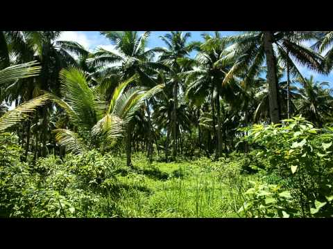 New Hard Trance Techno 2016 - Tropical island
