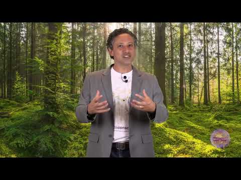 Initial Enneagram - Who is Type (Ray) 4? - Nicolai Cursino