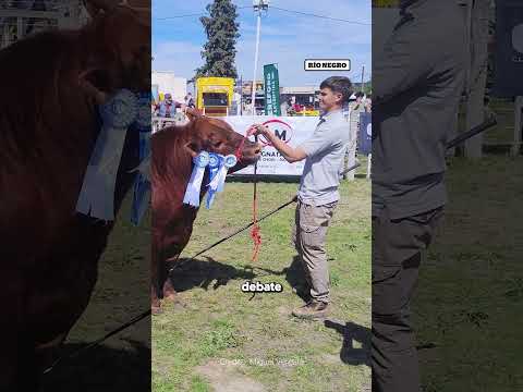 Expo Rural de Choele Choel Weretilneck defendió, una vez más, el estatus sanitario.