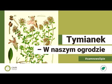 "Tymianek - W naszym ogrodzie", odc  3