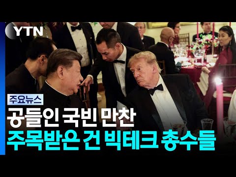 공들인 국빈 만찬...주목받은 건 빅테크 총수들 / YTN