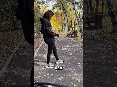 Dieses Eichhörnchen lässt sie nicht mehr in Ruhe  #animals #friendship #heartwarming