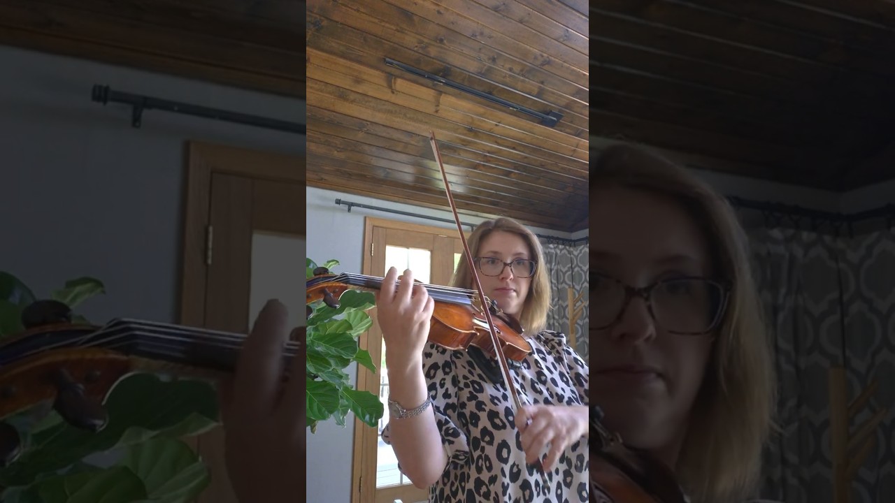Promotional video thumbnail 1 for Moody Violin