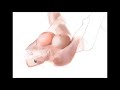 ALICE GOODWIN DIGITAL ART NUDE MODEL