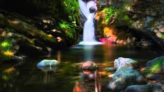 Download lagu Chen Yue - Flowers In A Riot Of Color mp3