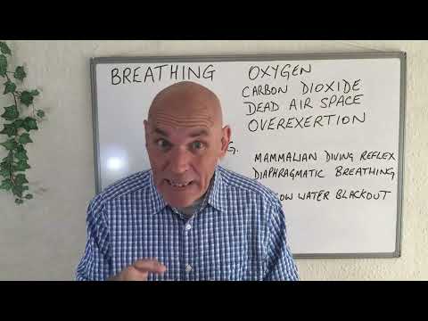 PADI IDC Theory - Physiology - Respiration