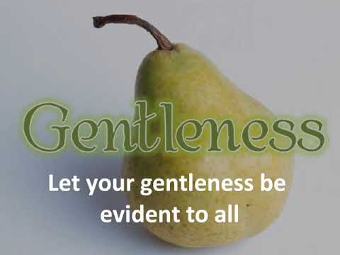 Daily Devotion Video by The Lynch Family 10 Nov 2020 Day 228