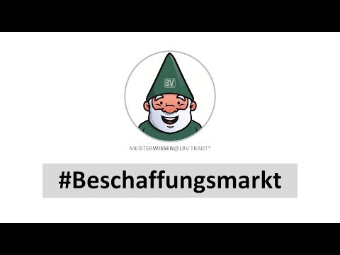 Meisterprüfung Teil 3 Marktgrößen Beschaffungsmarkt Handwerk Meisterwissen LBV Tradt [MK PV F137]