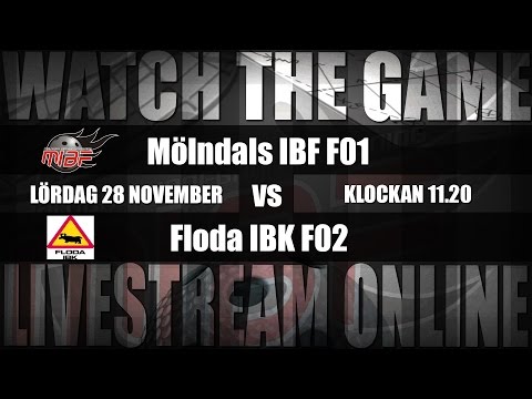F01: Mölndals IBF F01 - Floda IBK F02