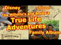 Disney Family Album True Life Adventures The Milotte S The BeeBe S Lloyd Beebe Seal Island
