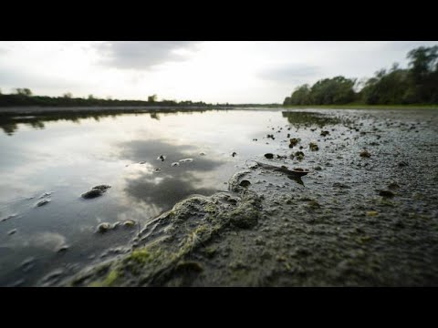 Dürre-Notstand in Italien und kein Ende in Sicht