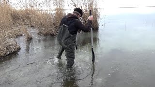 Ссылка