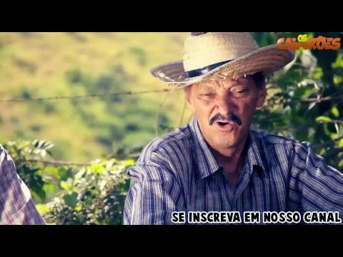 Hora do Humor - Os Caipirões