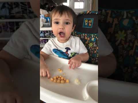 download lagu mp3 mp4 Can Babies Eat Chickpeas, download lagu Can Babies Eat Chickpeas gratis, unduh video klip Can Babies Eat Chickpeas