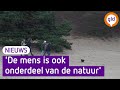 Bewoners Veluwe in spanning, gaat de natuur 'op slot'?